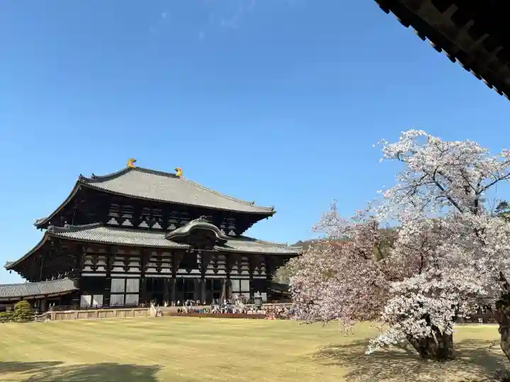 東大寺の{uncategorized: "未分類", other: "その他", undefined: "問題あり", building: "その他建物", grave: "お墓", sacred_gate: "鳥居", guardian: "狛犬", statue: "像", buddha: "仏像", history: "歴史", nature: "自然", garden: "庭園", animal: "動物", pagoda: "塔", temizu: "手水舎", mountain_gate: "山門・神門", sanctuary: "本殿・本堂", subordinate: "末社・摂社", art: "芸術", scenery: "景色", jizo: "地蔵", ema: "絵馬", goshuin: "御朱印", omikuji: "おみくじ", items: "授与品その他", amulet: "お守り", goshuincho: "御朱印帳", eats: "食事", festival: "お祭り", votive_dance: "神楽", shichigosan: "七五三参", wedding: "結婚式", experience: "体験その他", initially: "初詣", around: "周辺", anti_infection: "感染症対策"}