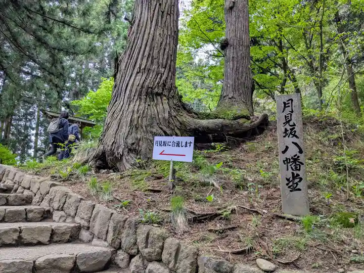 中尊寺(岩手県)