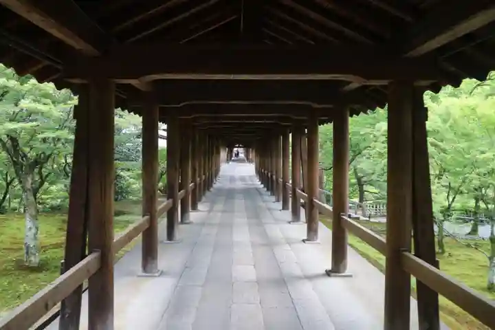東福禅寺(東福寺)(京都府)
