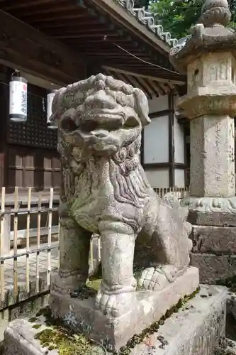 科長神社の狛犬