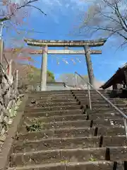 賀茂別雷神社(栃木県)