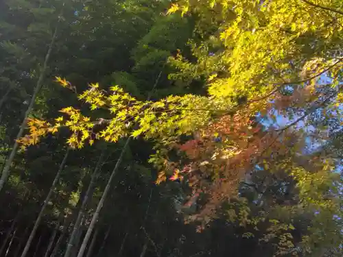 明月院(神奈川県)