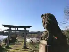 松尾神社の狛犬