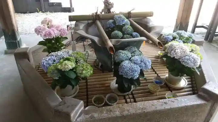 長谷寺の手水舎