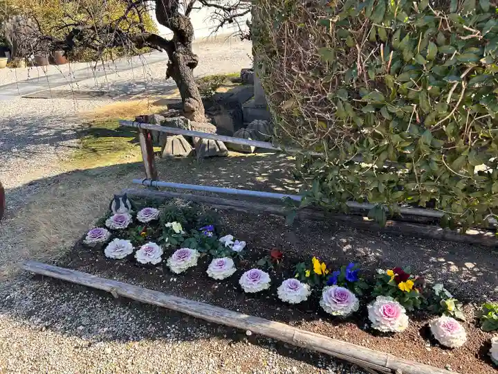 正等山 円福寺(愛知県)