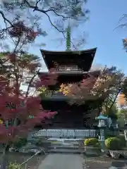 豪徳寺の建物その他