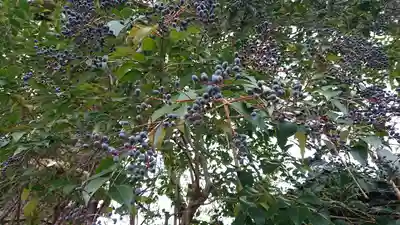 雲龍院(京都府)