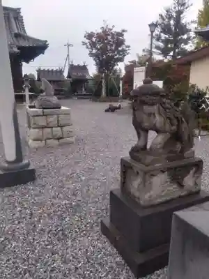 栗橋八坂神社(埼玉県)