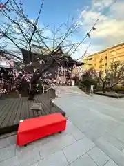 桜神宮(東京都)