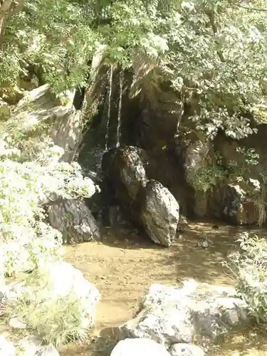 鹿苑寺（金閣寺）の庭園