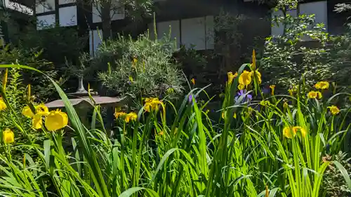 宝蔵寺(京都府)