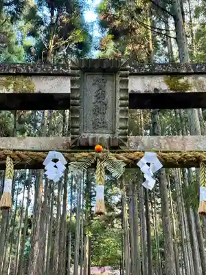 賀茂神社(京都府)