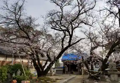 聖天山正圓寺のその他建物