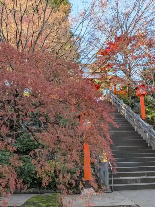 穴八幡宮(東京都)