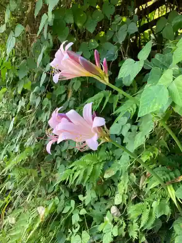 西明寺(長野県)