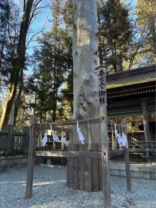 諏訪大社下社春宮(長野県)
