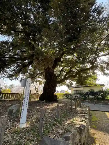 一之宮貫前神社(群馬県)