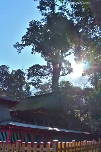 鹿島神宮(茨城県)