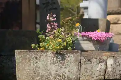熊野福藏神社の手水舎