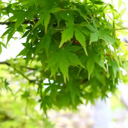 三津厳島神社(愛媛県)