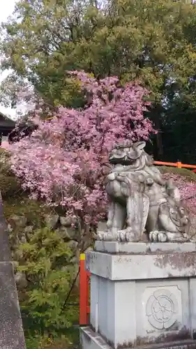 建勲神社の狛犬