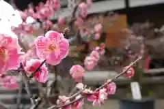 菅原天満宮（菅原神社）の自然