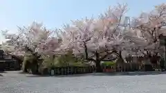 六孫王神社(京都府)