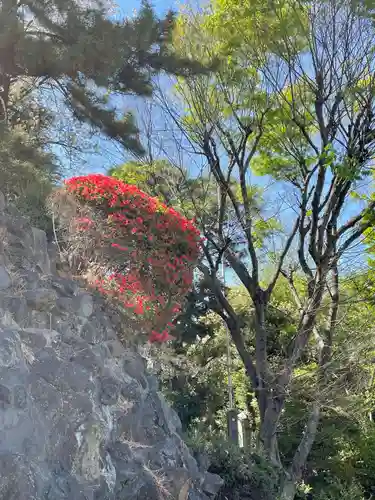 品川神社(東京都)