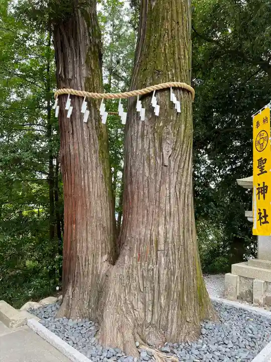 聖神社(埼玉県)