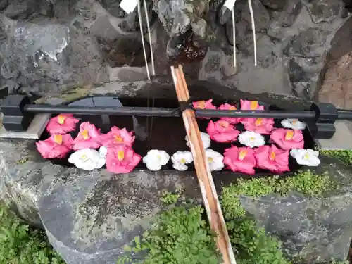 三崎稲荷神社の手水舎