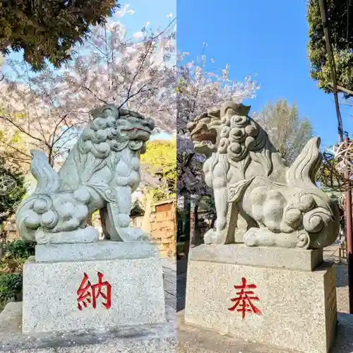 菊田神社の狛犬