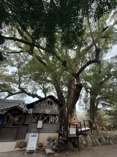 藤白神社(和歌山県)