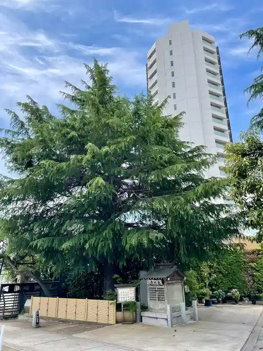 法蓮寺(東京都)