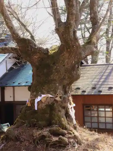 熊野皇大神社(長野県)
