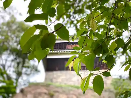 眞田神社(長野県)