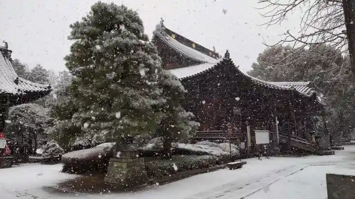 鑁阿寺(栃木県)