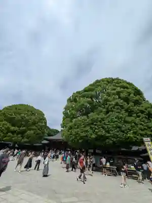 明治神宮(東京都)