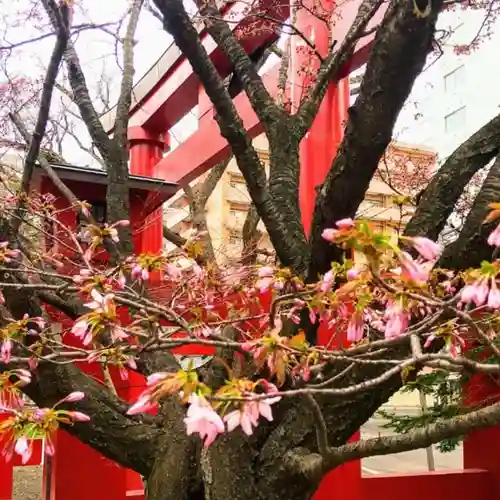 彌彦神社　(伊夜日子神社)の自然