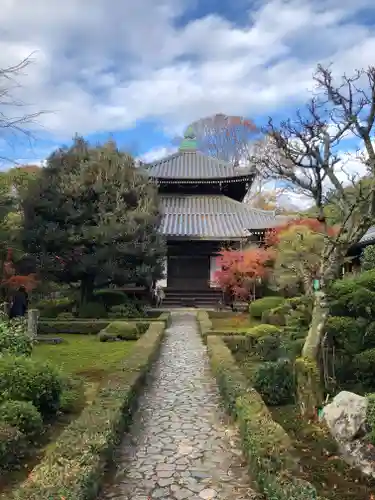 安楽寺の庭園