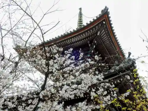 本法寺(京都府)