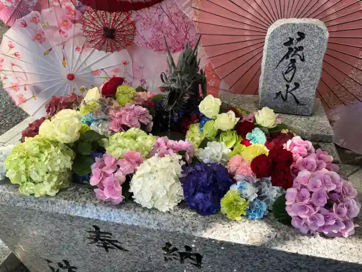 札幌諏訪神社の{uncategorized: "未分類", other: "その他", undefined: "問題あり", building: "その他建物", grave: "お墓", sacred_gate: "鳥居", guardian: "狛犬", statue: "像", buddha: "仏像", history: "歴史", nature: "自然", garden: "庭園", animal: "動物", pagoda: "塔", temizu: "手水舎", mountain_gate: "山門・神門", sanctuary: "本殿・本堂", subordinate: "末社・摂社", art: "芸術", scenery: "景色", jizo: "地蔵", ema: "絵馬", goshuin: "御朱印", omikuji: "おみくじ", items: "授与品その他", amulet: "お守り", goshuincho: "御朱印帳", eats: "食事", festival: "お祭り", votive_dance: "神楽", shichigosan: "七五三参", wedding: "結婚式", experience: "体験その他", initially: "初詣", around: "周辺", anti_infection: "感染症対策"}