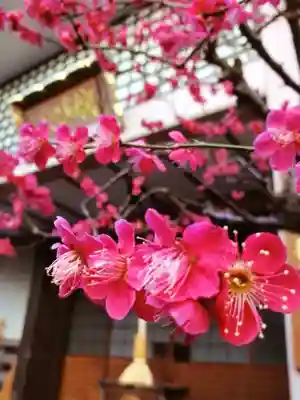 聖輪寺(東京都)