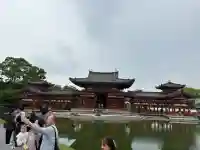平等院の{uncategorized: "未分類", other: "その他", undefined: "問題あり", building: "その他建物", grave: "お墓", sacred_gate: "鳥居", guardian: "狛犬", statue: "像", buddha: "仏像", history: "歴史", nature: "自然", garden: "庭園", animal: "動物", pagoda: "塔", temizu: "手水舎", mountain_gate: "山門・神門", sanctuary: "本殿・本堂", subordinate: "末社・摂社", art: "芸術", scenery: "景色", jizo: "地蔵", ema: "絵馬", goshuin: "御朱印", omikuji: "おみくじ", items: "授与品その他", amulet: "お守り", goshuincho: "御朱印帳", eats: "食事", festival: "お祭り", votive_dance: "神楽", shichigosan: "七五三参", wedding: "結婚式", experience: "体験その他", initially: "初詣", around: "周辺", anti_infection: "感染症対策"}