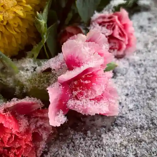 滑川神社 - 仕事と子どもの守り神の手水舎