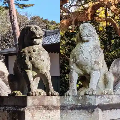法華経寺の狛犬