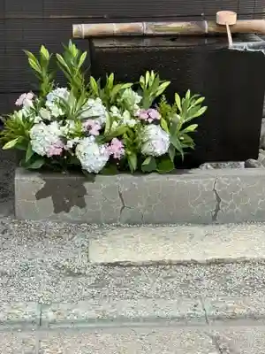 上尾御嶽神社(埼玉県)