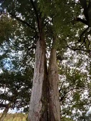 大井神社(静岡県)