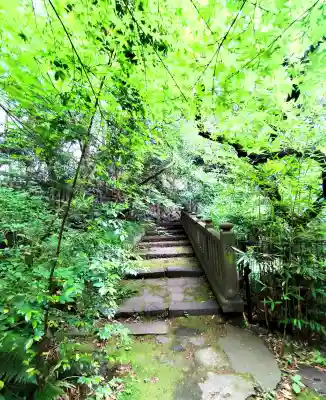 四合稲荷神社の{uncategorized: "未分類", other: "その他", undefined: "問題あり", building: "その他建物", grave: "お墓", sacred_gate: "鳥居", guardian: "狛犬", statue: "像", buddha: "仏像", history: "歴史", nature: "自然", garden: "庭園", animal: "動物", pagoda: "塔", temizu: "手水舎", mountain_gate: "山門・神門", sanctuary: "本殿・本堂", subordinate: "末社・摂社", art: "芸術", scenery: "景色", jizo: "地蔵", ema: "絵馬", goshuin: "御朱印", omikuji: "おみくじ", items: "授与品その他", amulet: "お守り", goshuincho: "御朱印帳", eats: "食事", festival: "お祭り", votive_dance: "神楽", shichigosan: "七五三参", wedding: "結婚式", experience: "体験その他", initially: "初詣", around: "周辺", anti_infection: "感染症対策"}