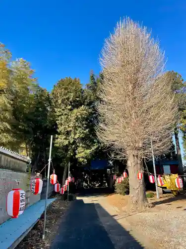 雷電神社(栃木県)