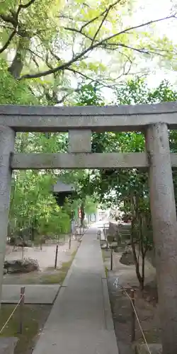 菅生神社の鳥居